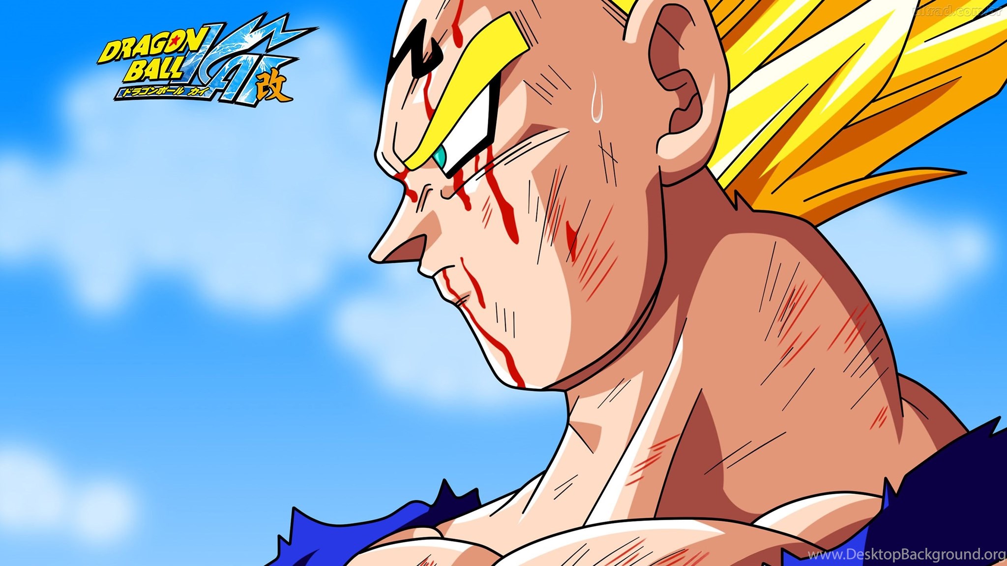 Wallpapers Vegeta Papel De Parede Majin Dragon Ball Kai 2560x1440