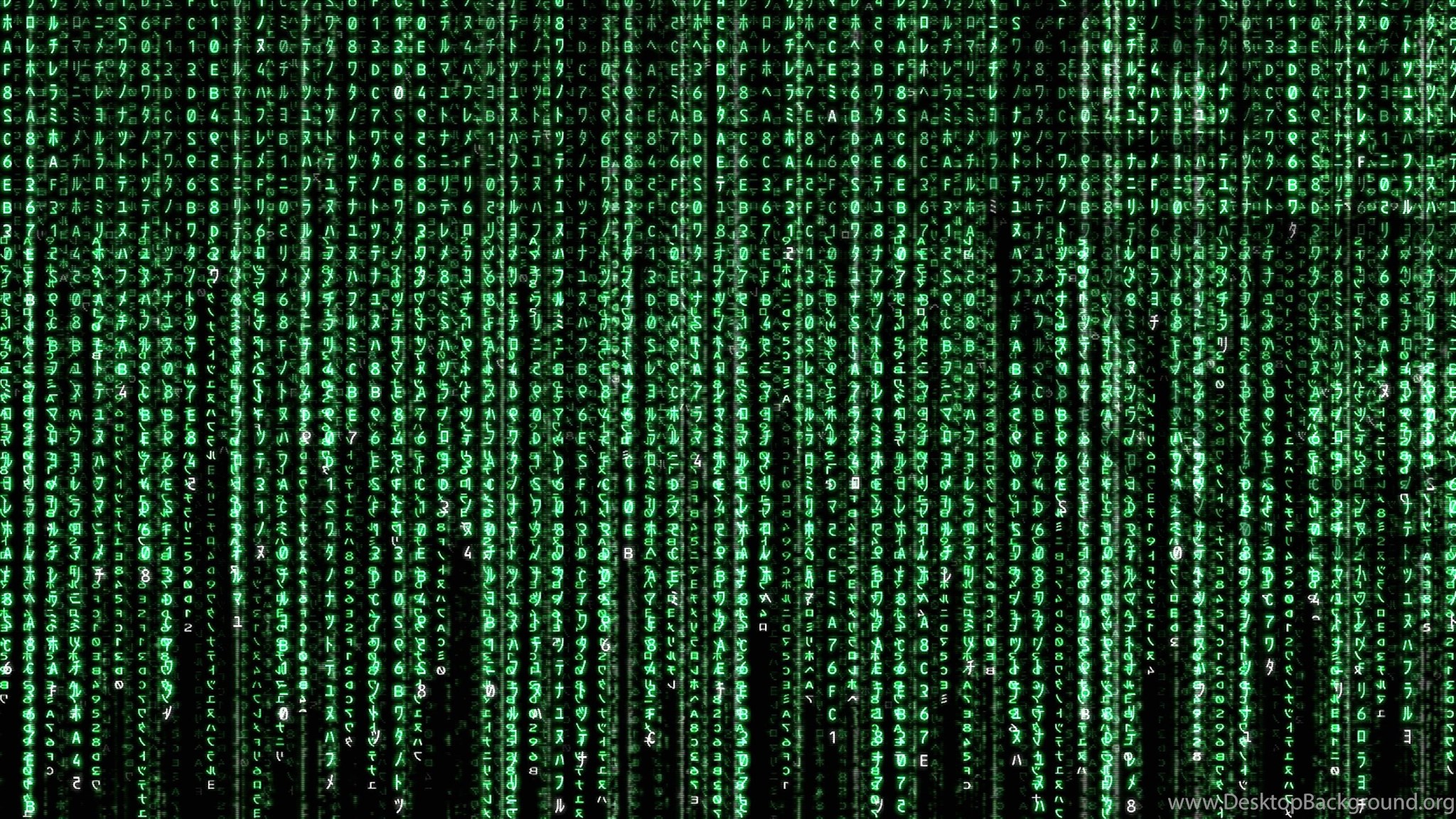 Matrix капли. Матрица. Матрица фон. Матрица обои. Матрица картинки.