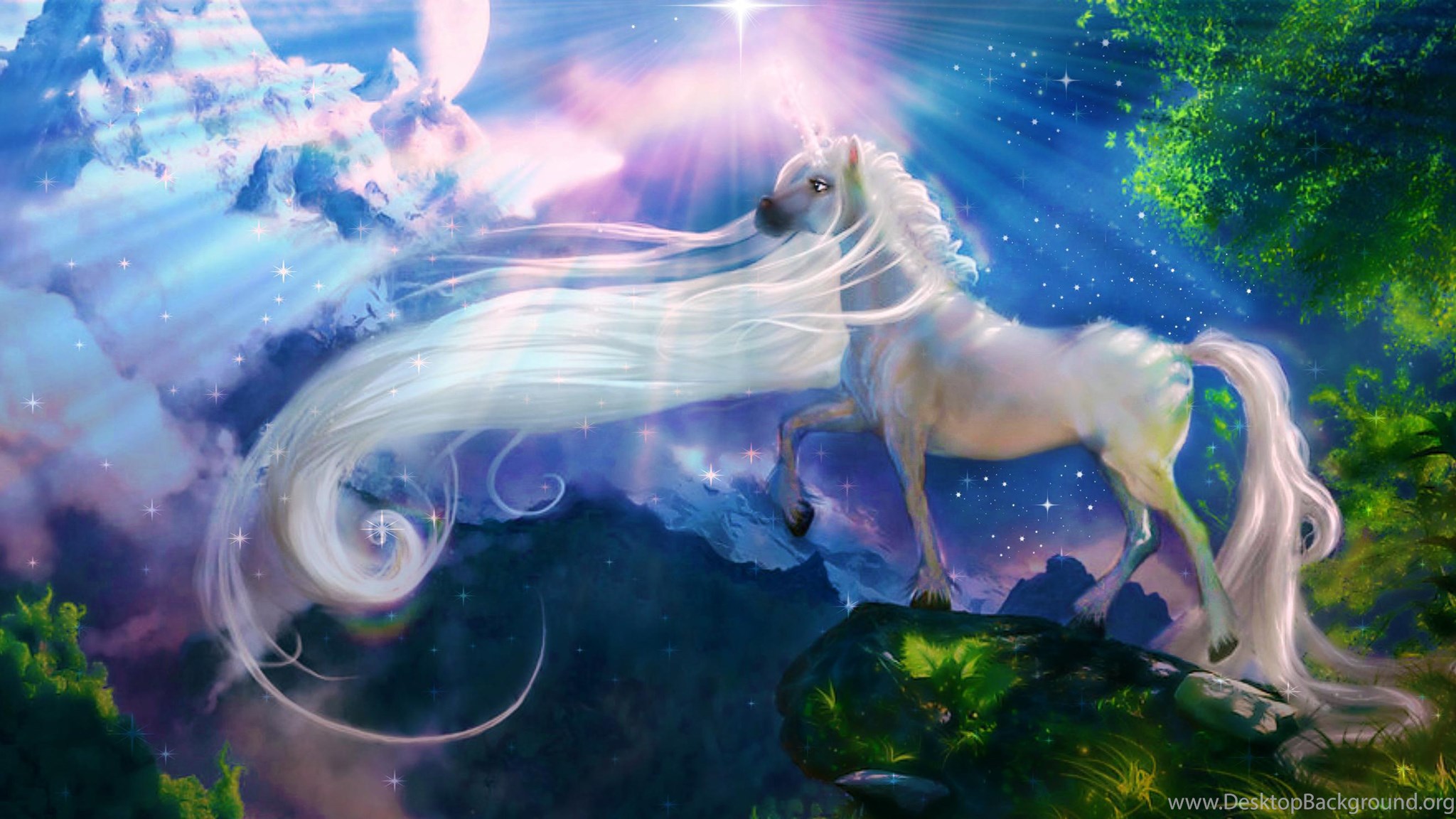 White Horse Unicorn  Fantasy Art Wallpapers  Hd 