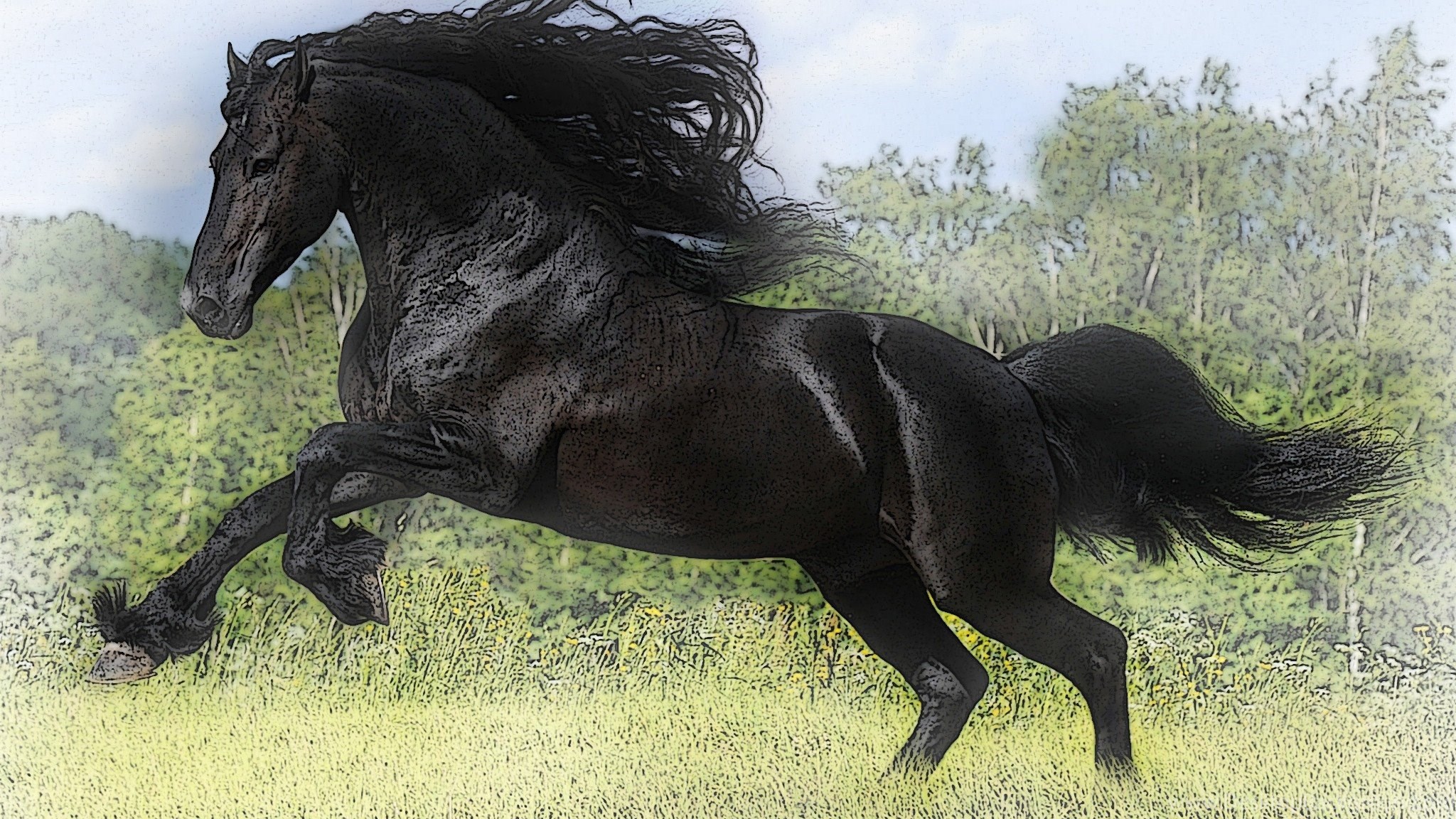 Сонник черная лошадь. Фризская лошадь. Мустанг лошадь черный. Лошадь породы Мустанг черный. Черный жеребец.