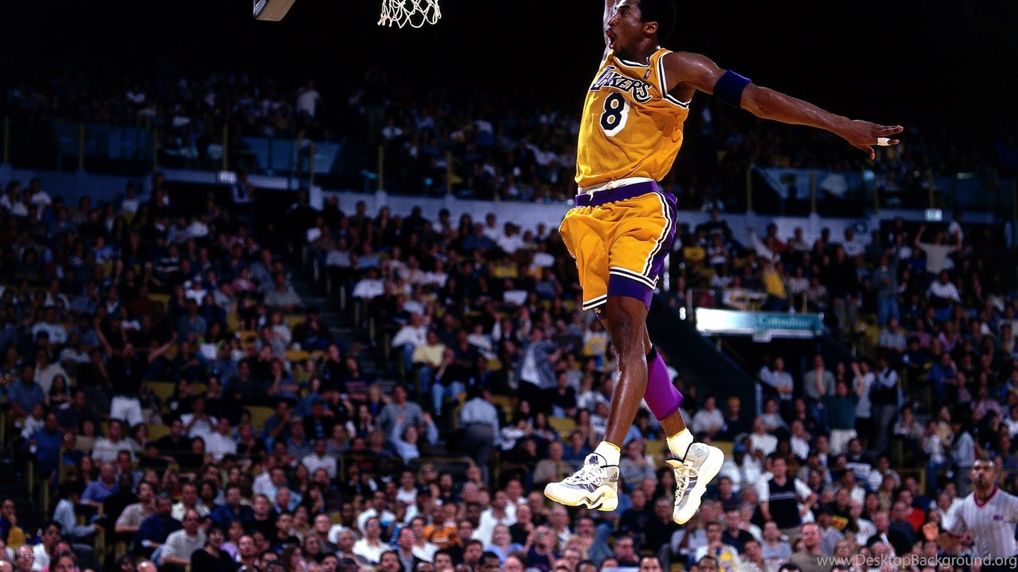 Download Kobe Bryant Dunks Wallpapers Wide Desktop Background