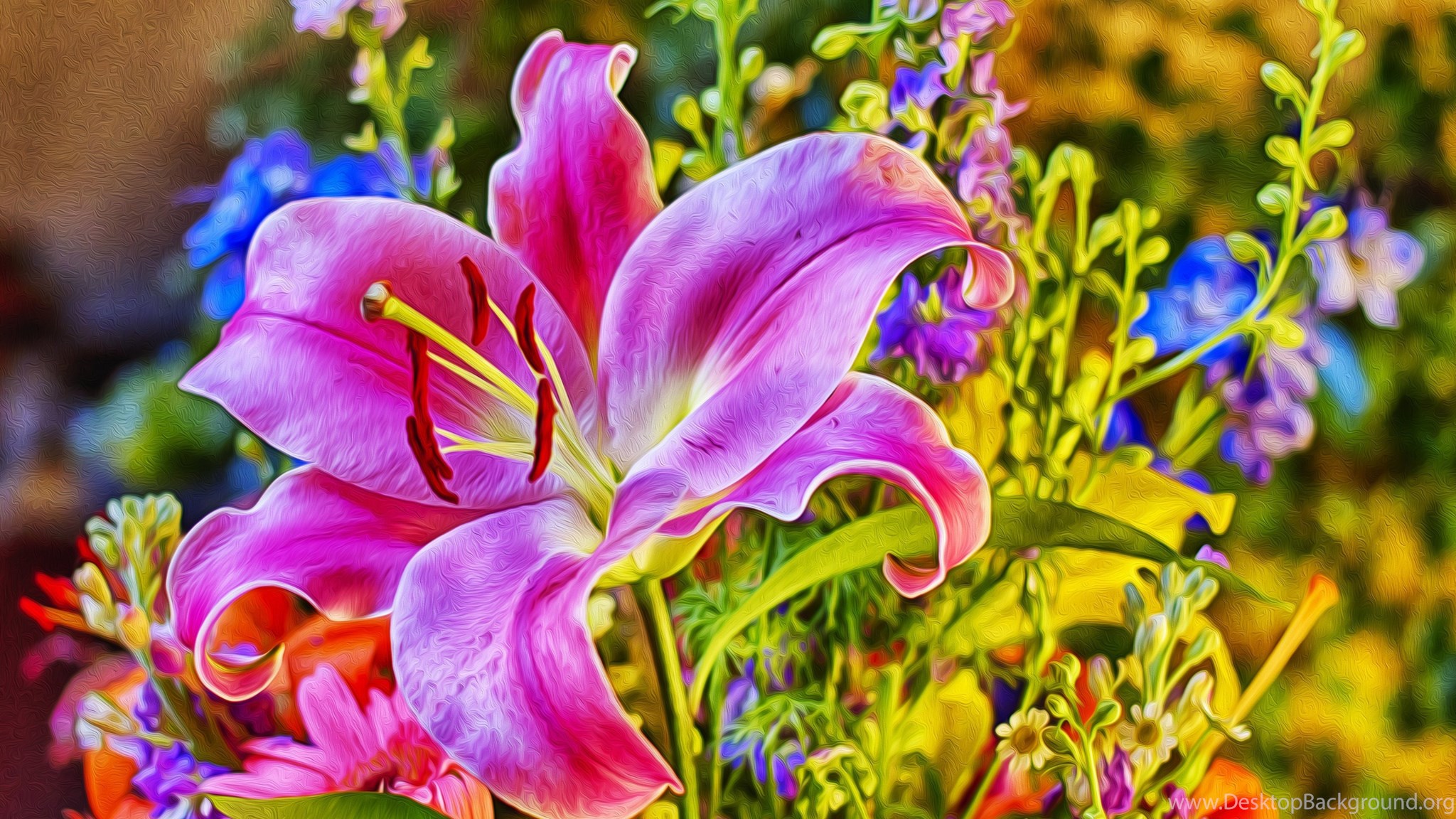 I a beautiful flower. Лилия Фловер Пинк. Лилия + 🌈 =Радужная Лилия. Прекрасные цветы. Яркие цветы.