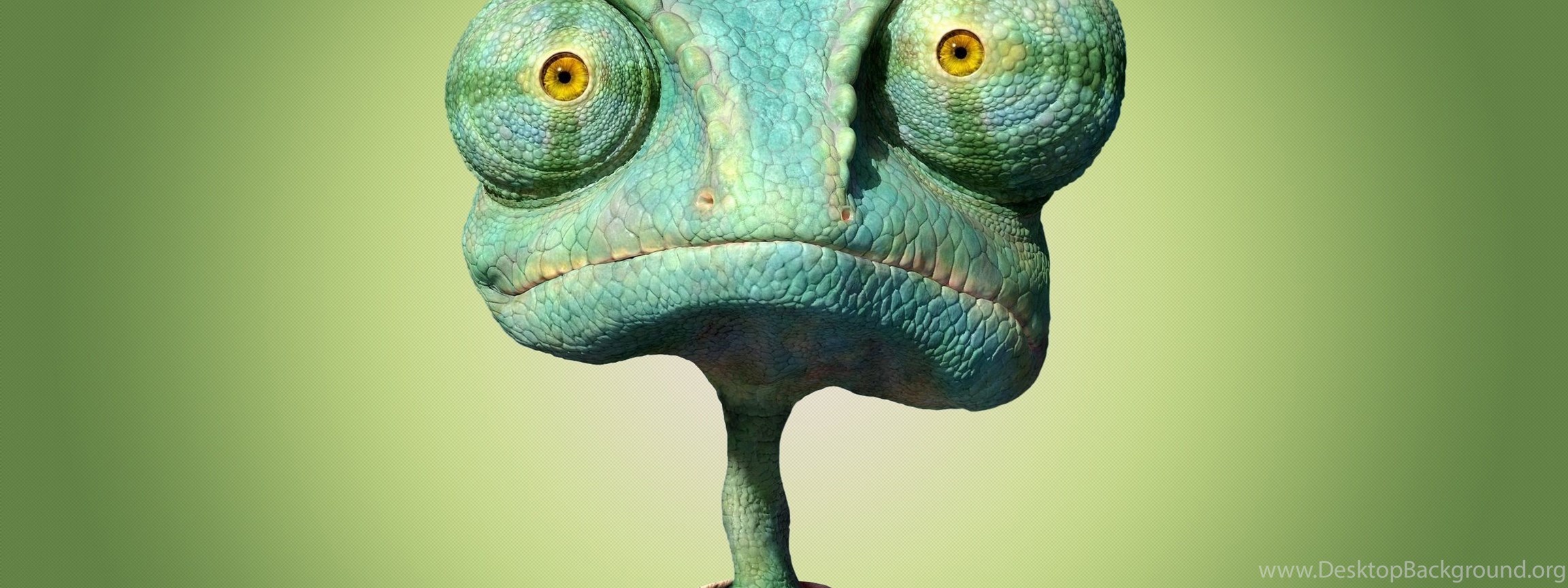 Download Lizard 3D Animal Wallpapers Desktop Free Download Widescreen Dual ...