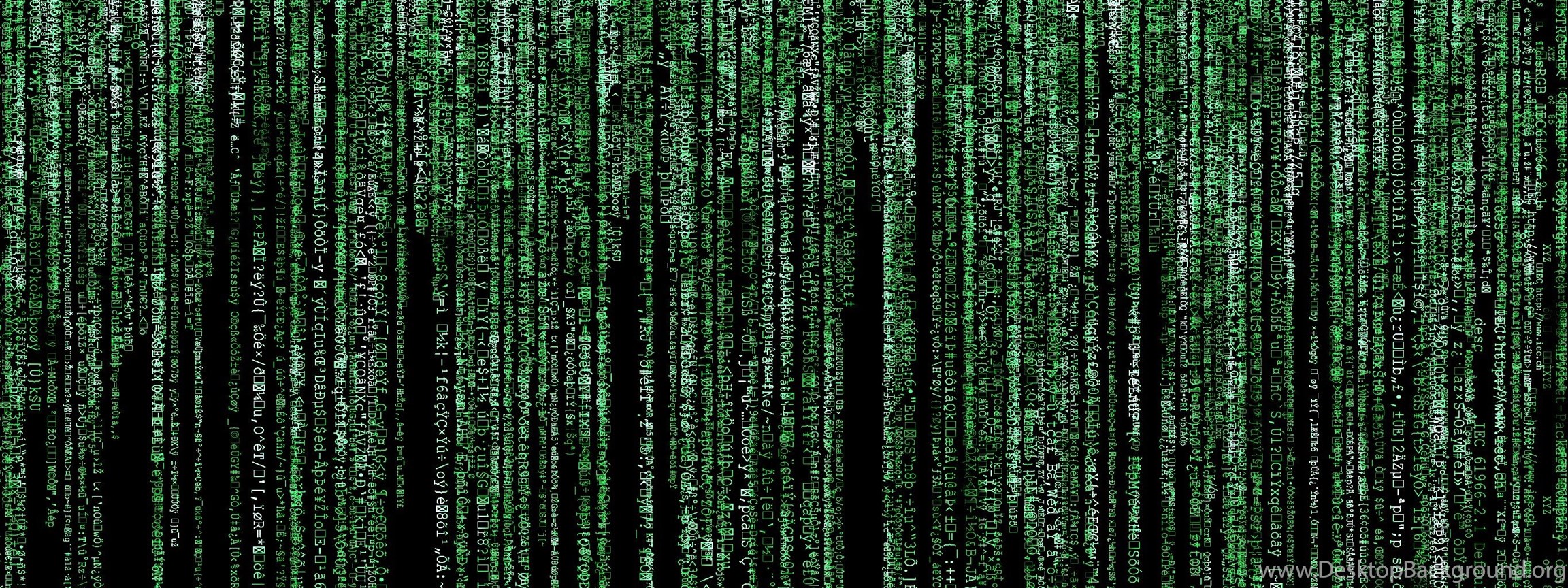 Text Fake Matrix Wallpapers Desktop Background