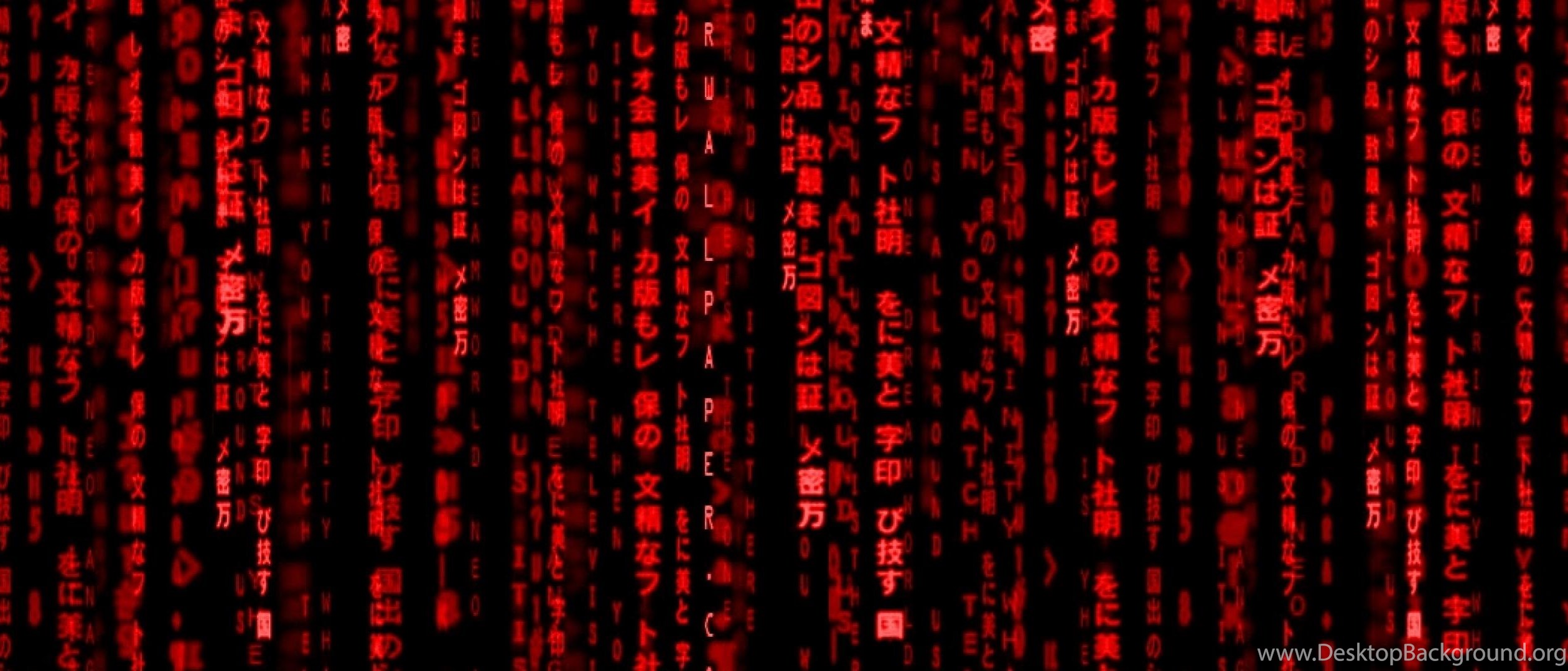 Red Hd Wallpapers Tags Code Red Matrix Description Red Matrix Code ...