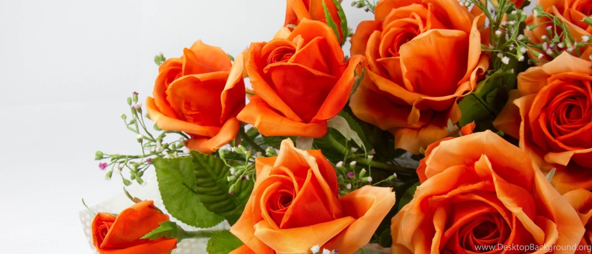 Как пишется очаровашка. Оранжевые розы. Красивые оранжевые розы. Прекрасной женщине цветы. Открытка самой обаятельной и привлекательной.