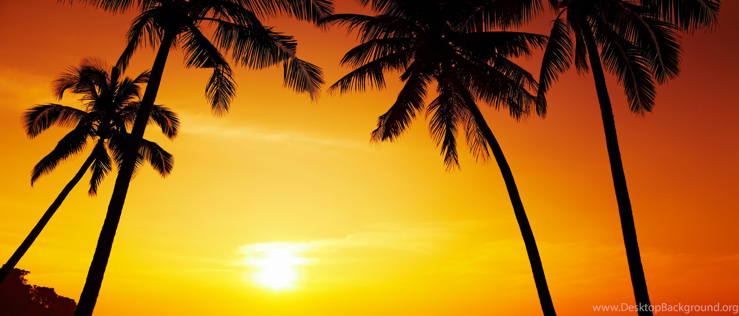 Beach_Sunset_Background.jpg?m=1432120809 Desktop Background