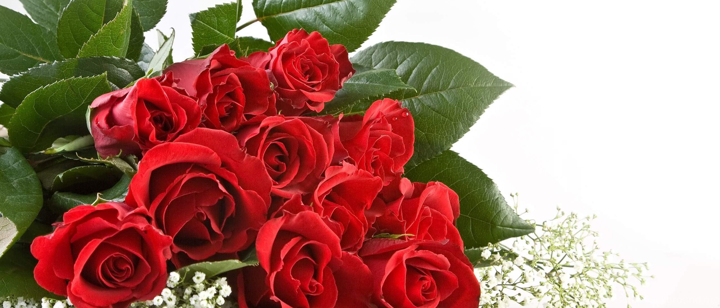 Пышные розы текст. Красивой женщине красивые цветы. Мариночка с днём рождения. Поздравления с днём рождения Марине. Шикарные розы для подруги.