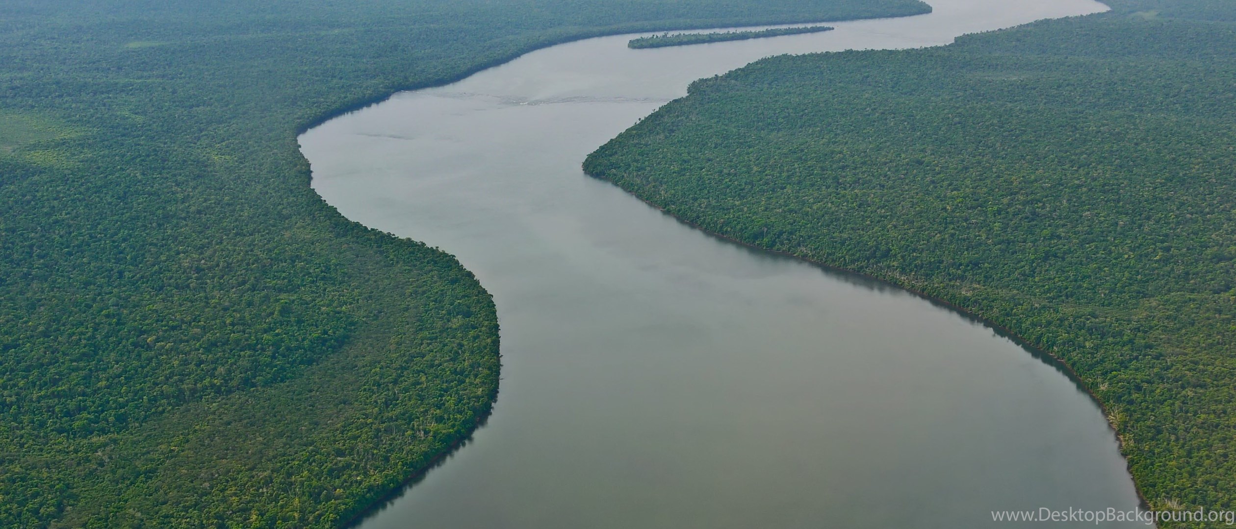 Крупные озера бразилии 7. Бразилия Амазонская низменность. Река Амазонка в Бразилии. Амазонка самая длинная река в мире. Устье реки Амазонка.