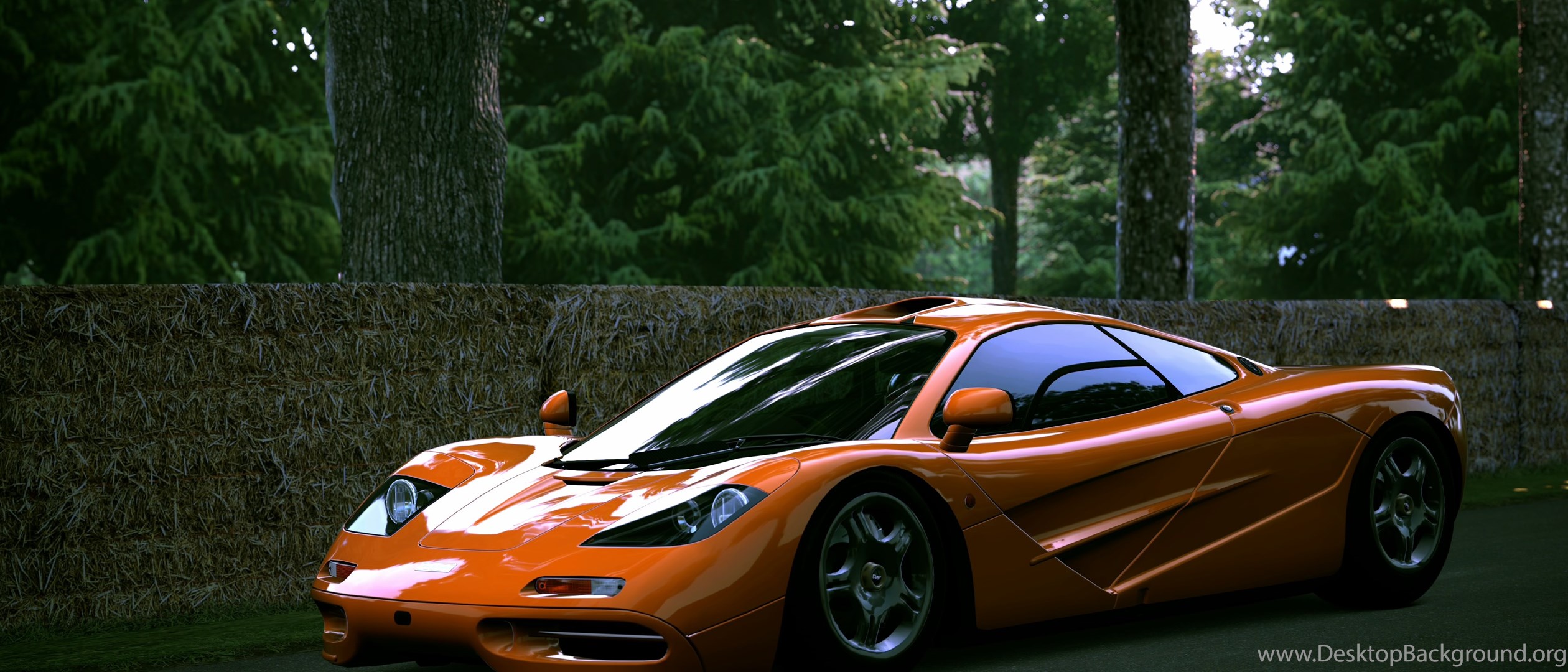 MCLAREN f1 1993 сезон охоты фильм