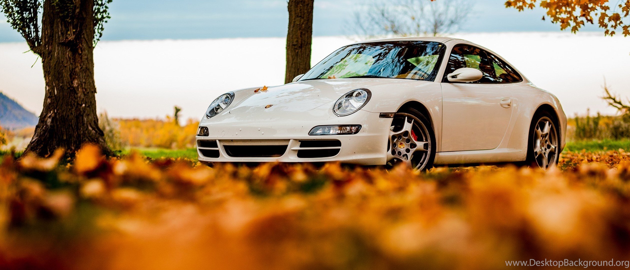 Porsche 911 осень