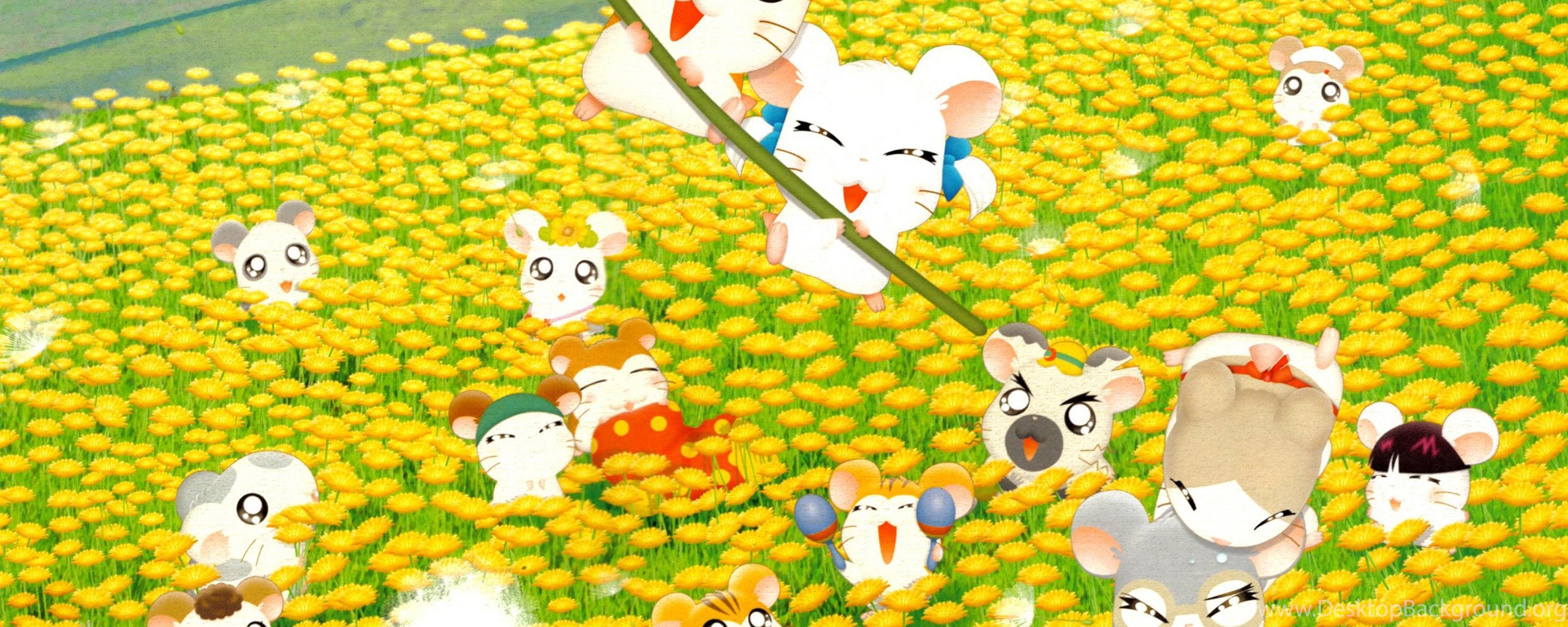 Tottoko Hamtarou Zerochan Anime Image Board Desktop Background