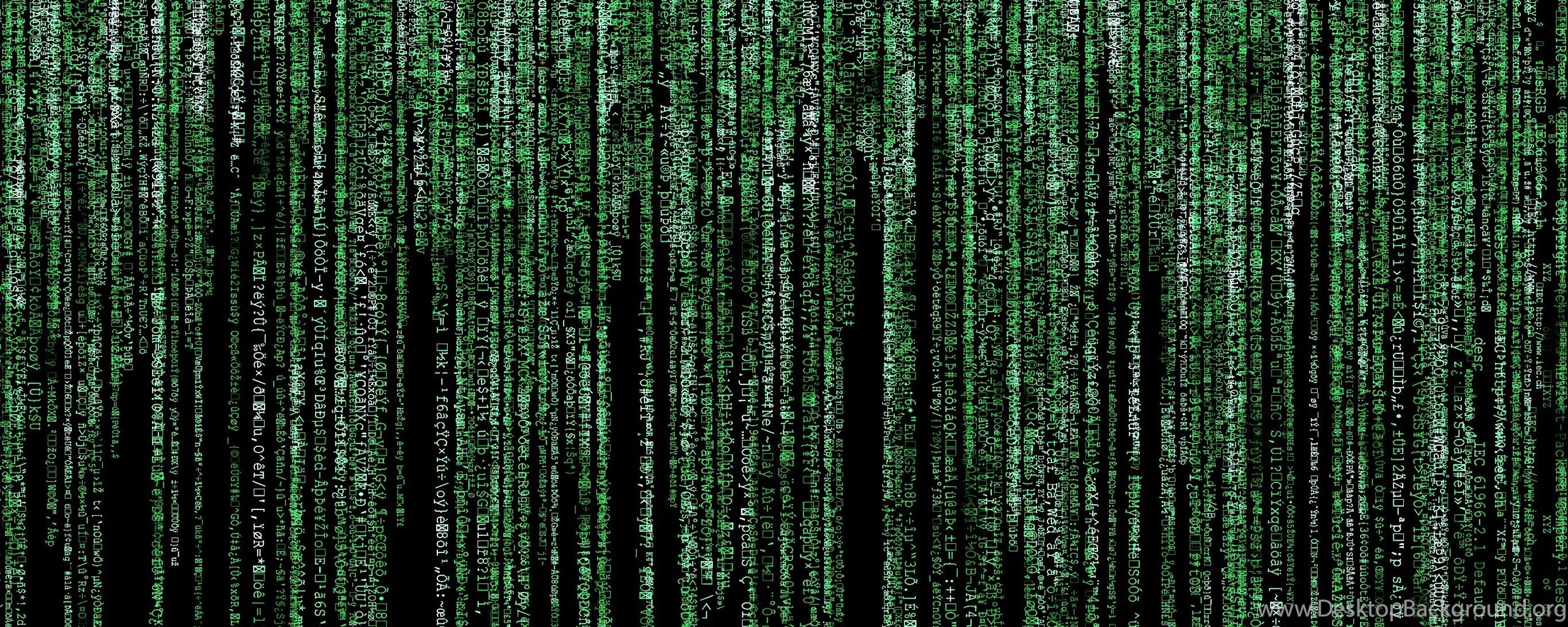 Text Fake Matrix Wallpapers Desktop Background