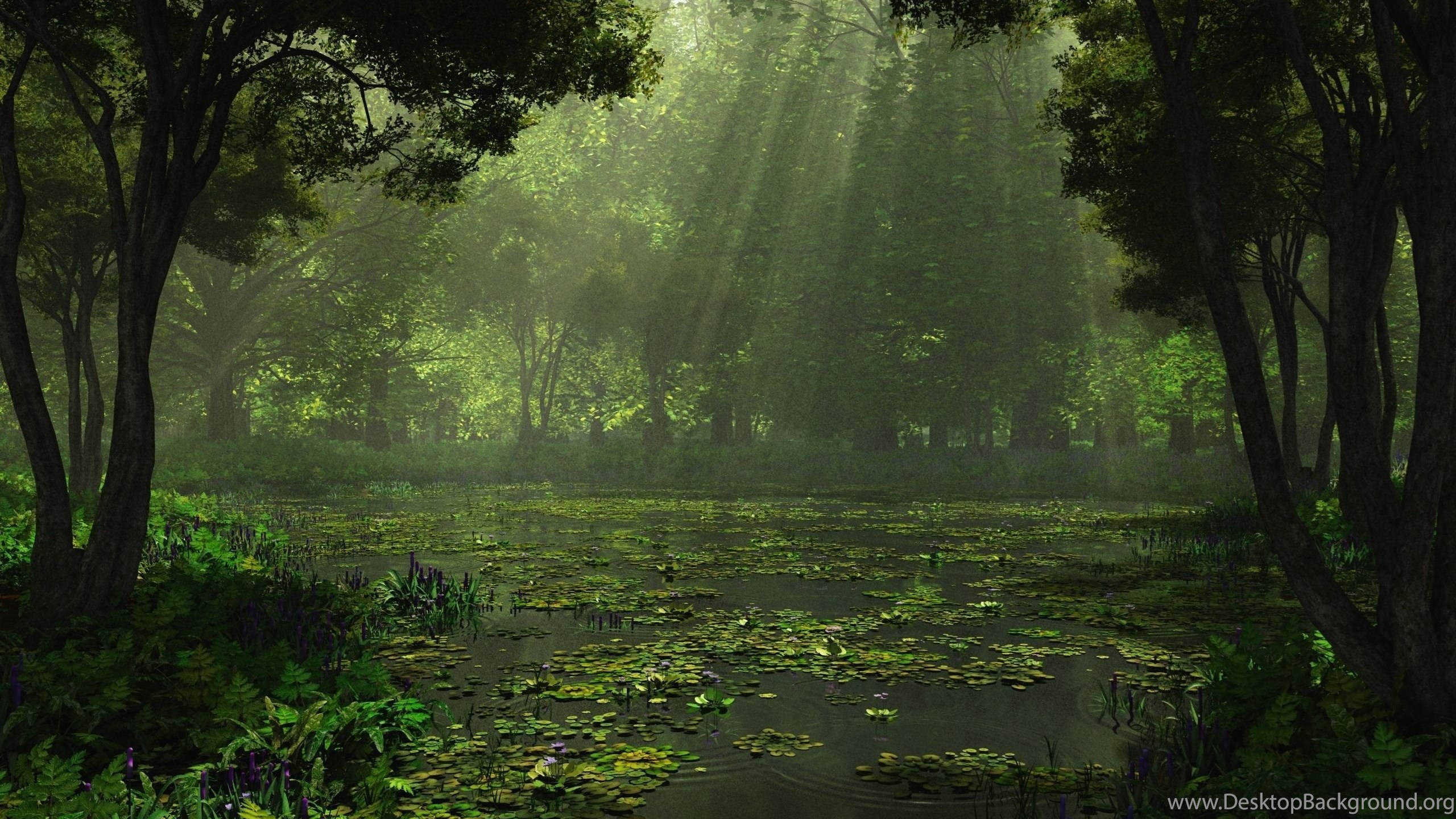 Rain Nature Wallpaper Background Windowsjpg Desktop Background Rain Nature Wallpaper Background Windowsjpg Desktop Background