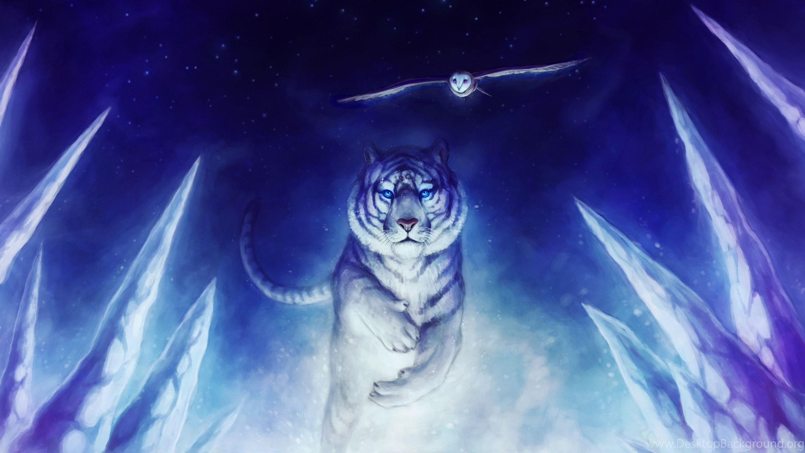 Cool Tiger Wallpapers Desktop Background