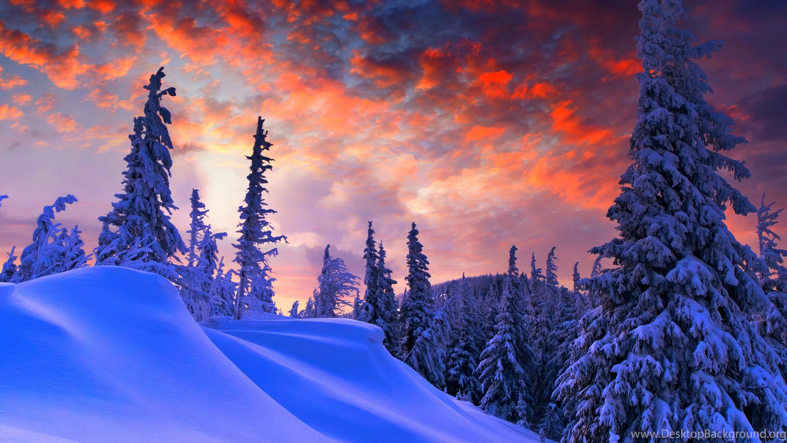Winter Christmas Wallpapers Full HD 7500x3000 Free Wallpapers ... Desktop Background