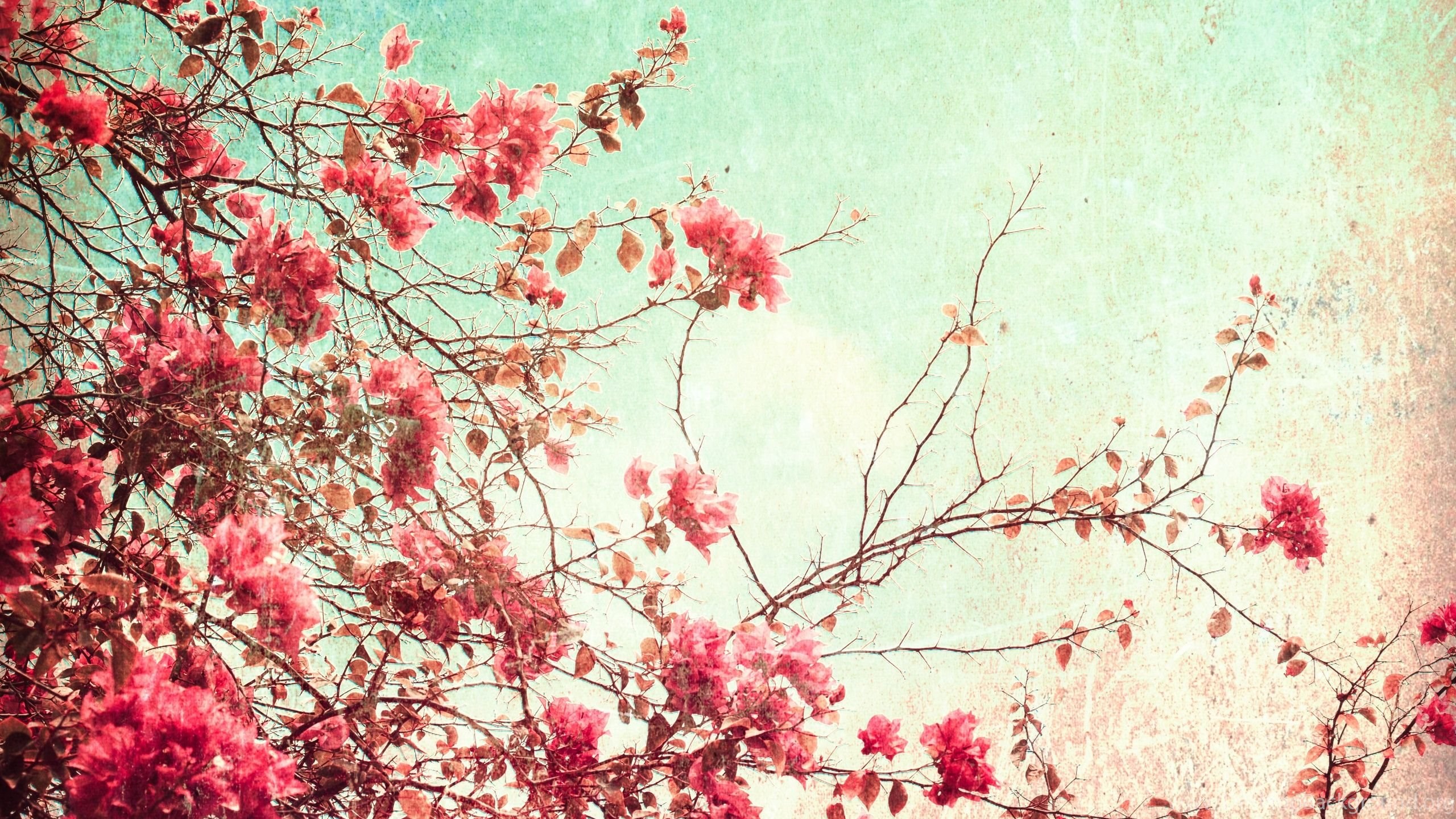 Vintage Wallpaper Backgrounds 1 Cool Wallpapers Xdwallpaper Com