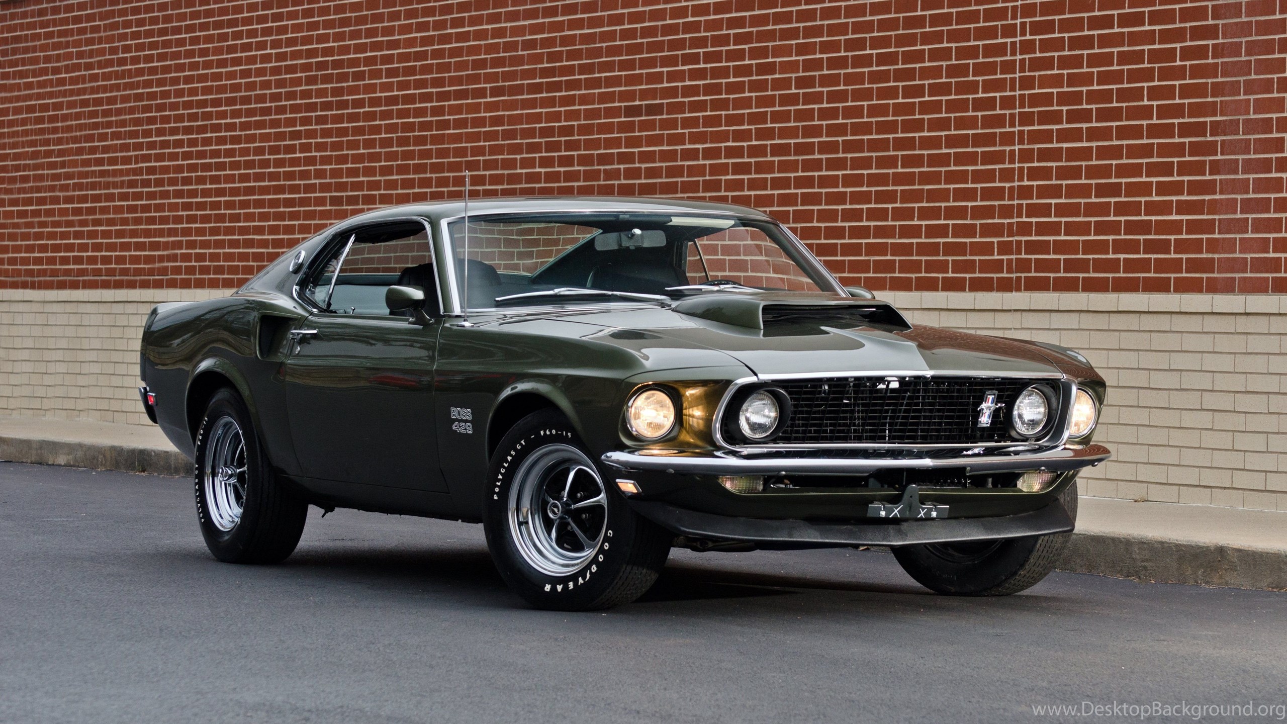 1969 Ford Mustang Boss 429 Fastback Muscle Classic Usa 4200x2790 Desktop Background