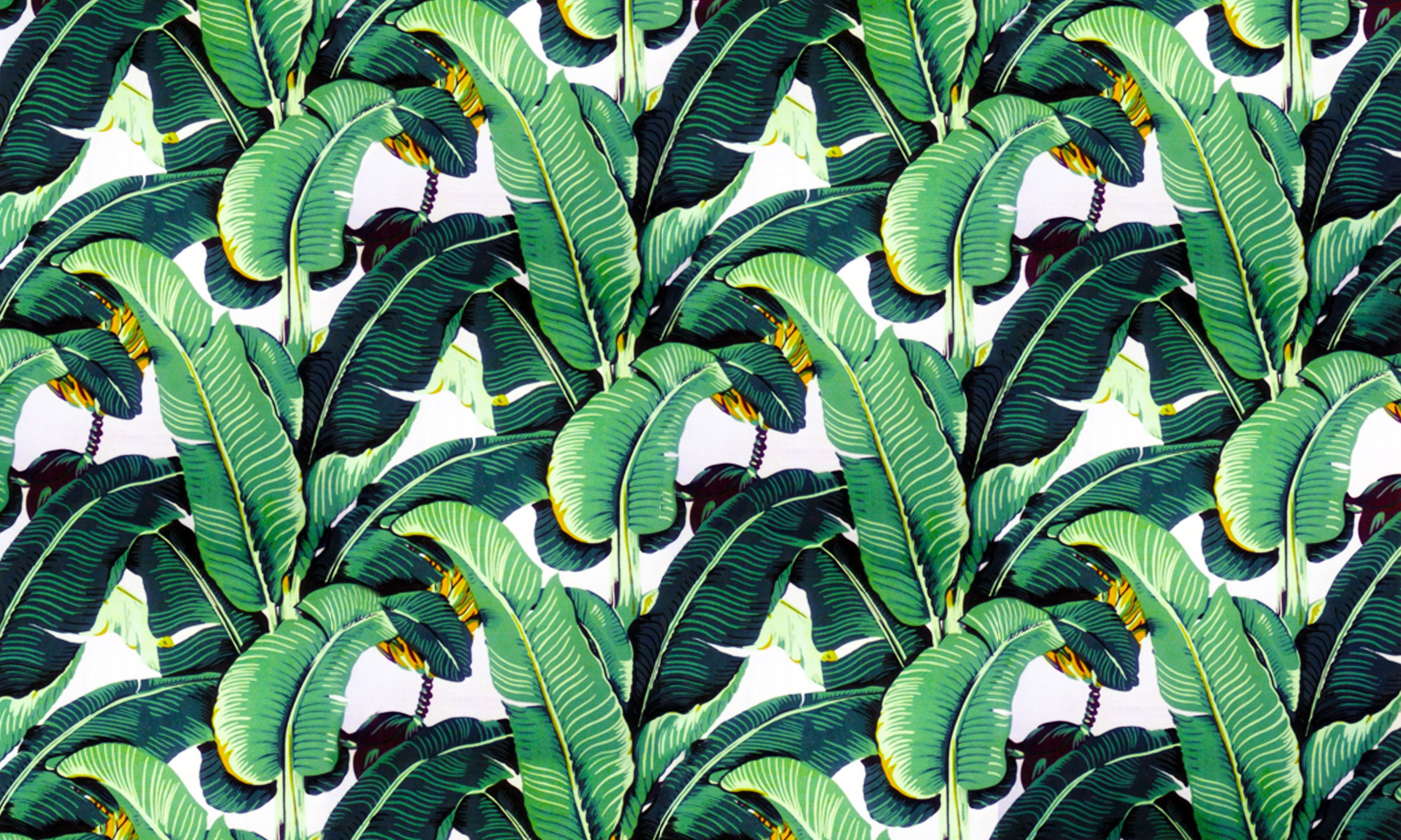  Banana  Leaf  Wallpapers  Design Martinique For The Beverly 