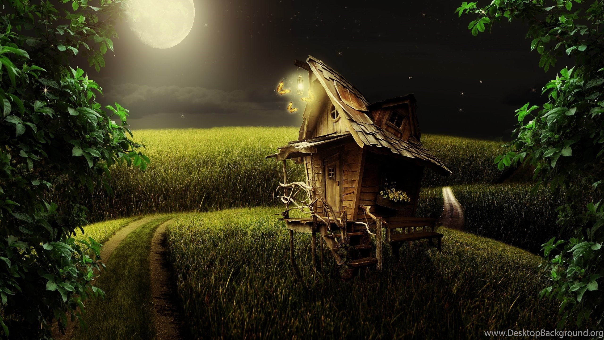 Night Moon Fantasy Landscape Wallpapers HD Free Download Desktop Background