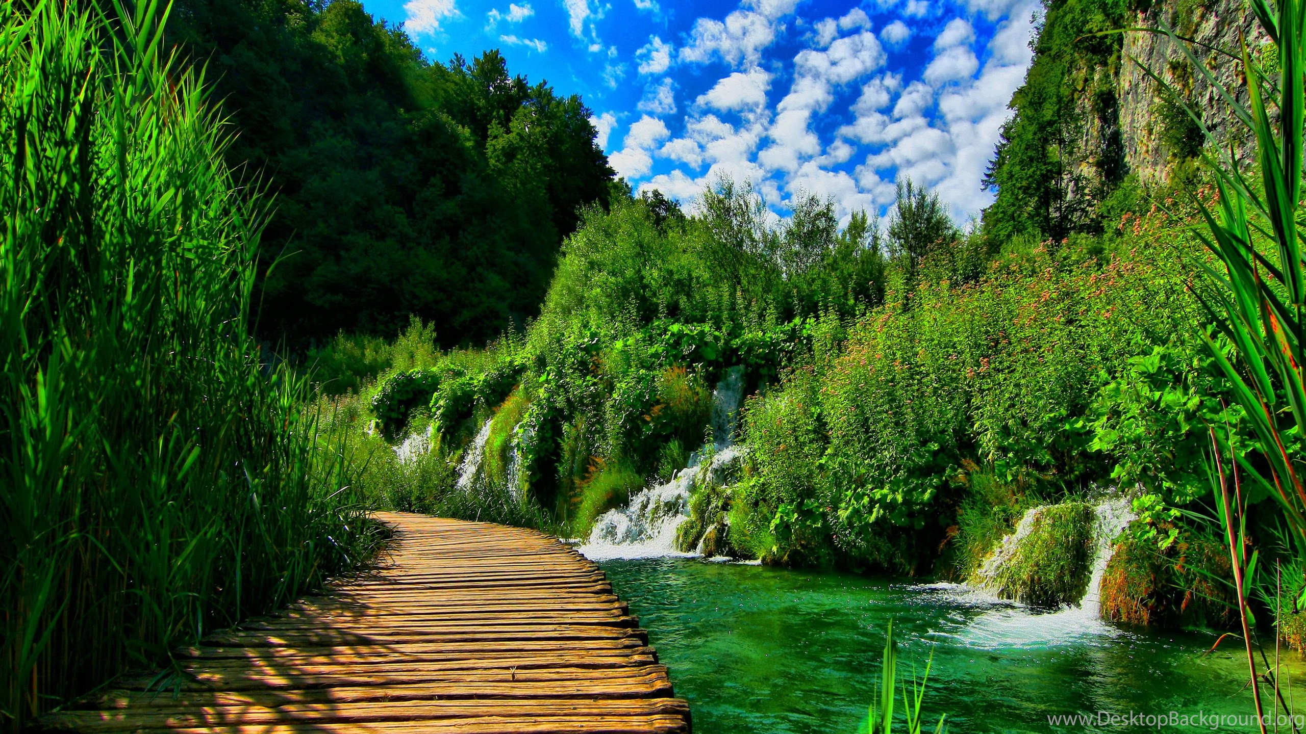 Images Of Nature Wallpapers Desktop Desktop Background Check out this fantastic collection of nature wallpapers, with 59 nature background images for your desktop, phone or tablet. images of nature wallpapers desktop