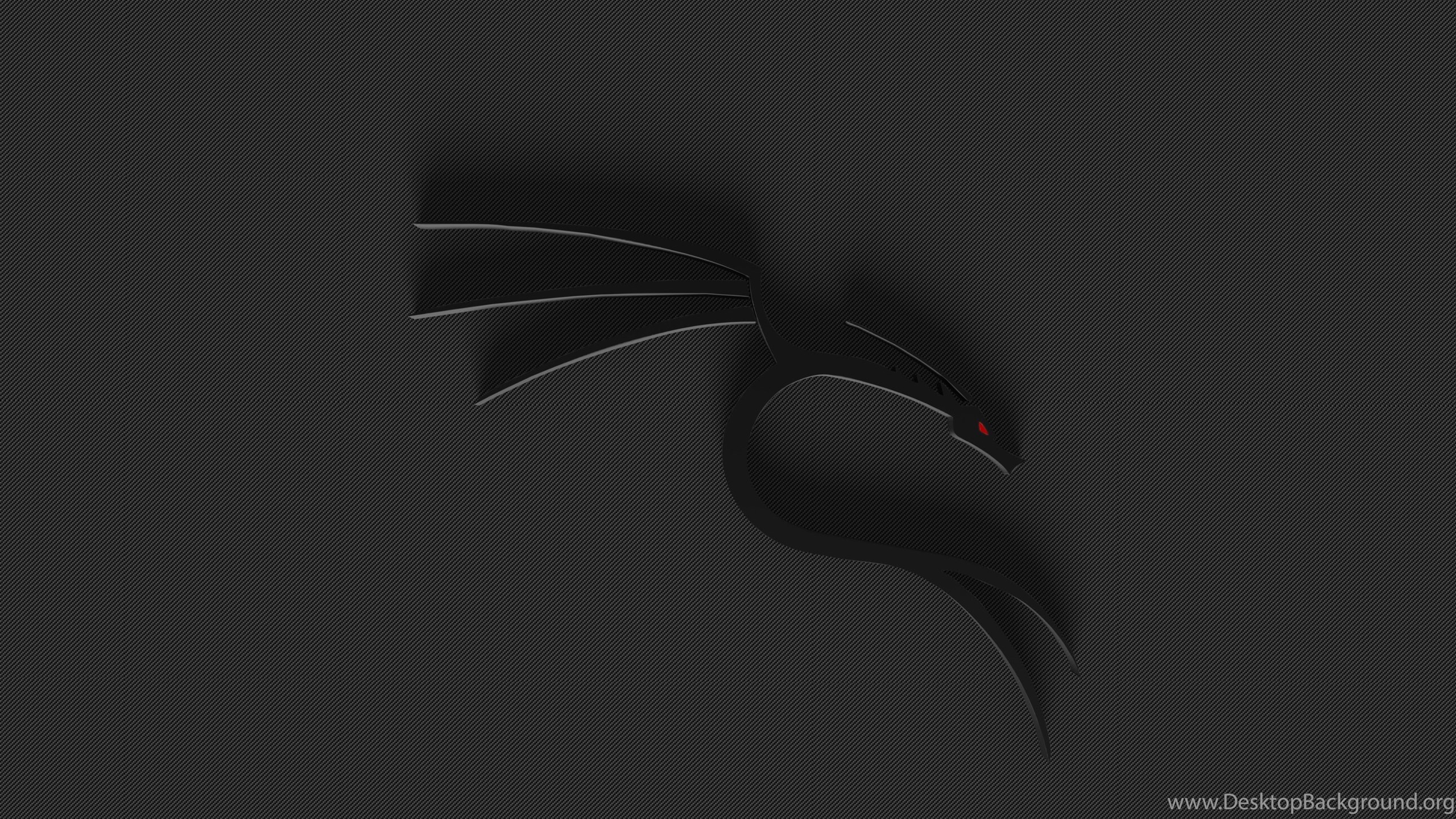 Kali Linux, Kali Wallpapers Linux JohnyWheels Desktop Background