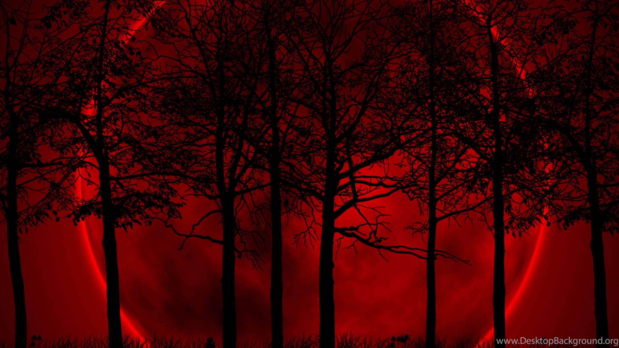 Есть кровавая ночь. Кровавый лес. Кровавый пейзаж. Красное небо ночью. Красная Луна.