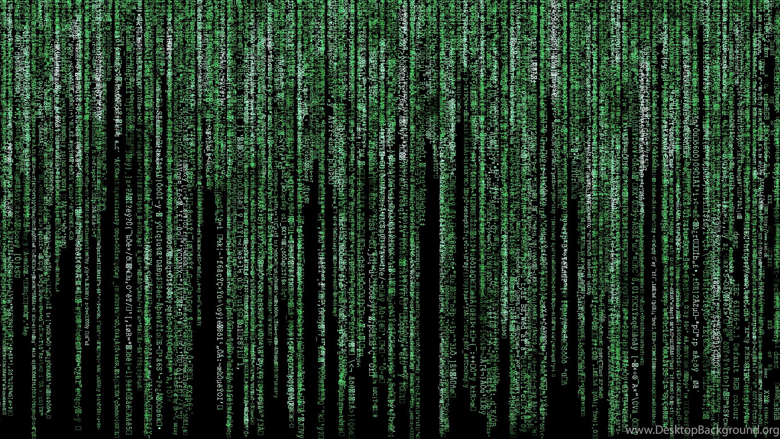 Text Fake Matrix Wallpapers Desktop Background