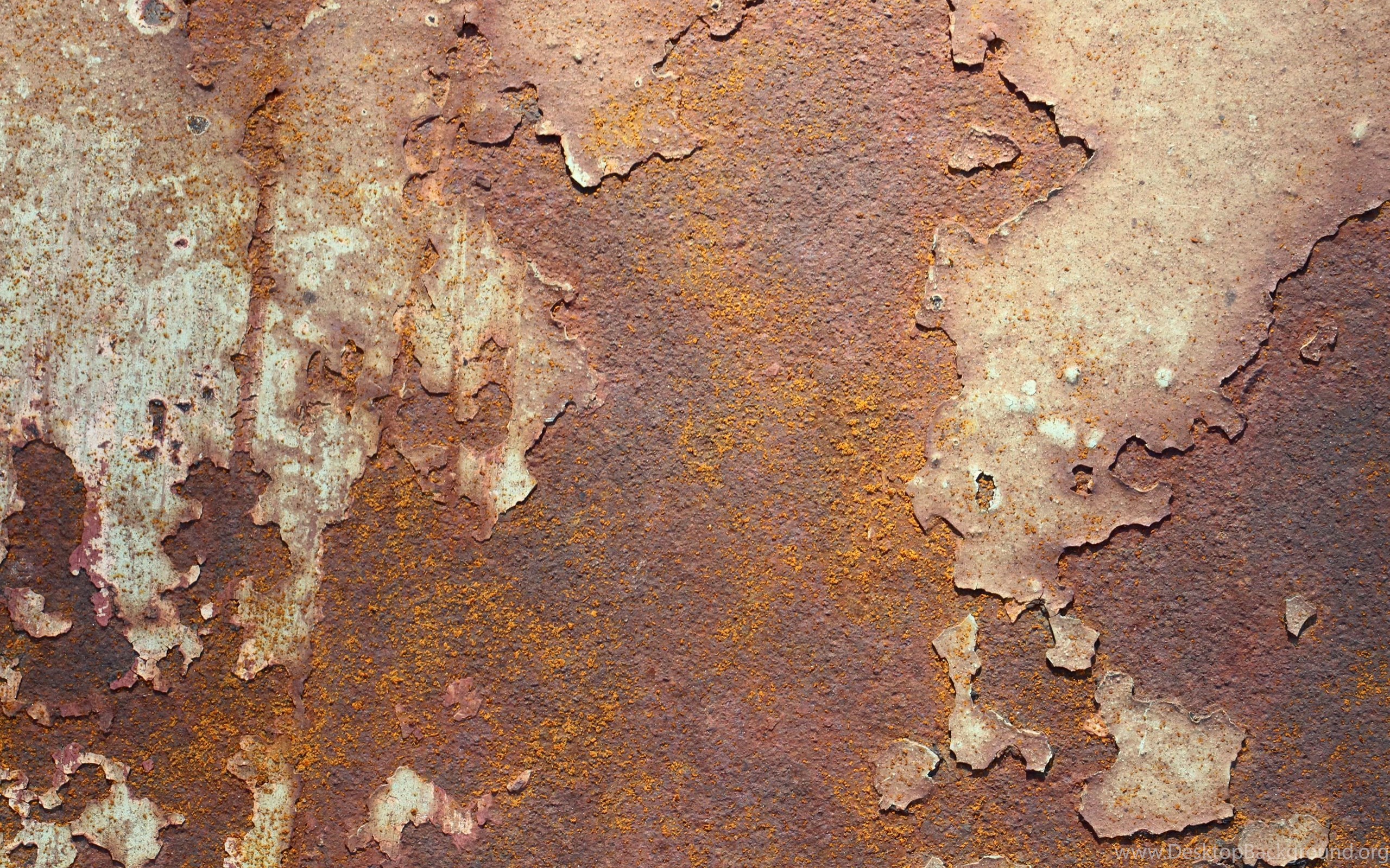 Can painted metal rust фото 10