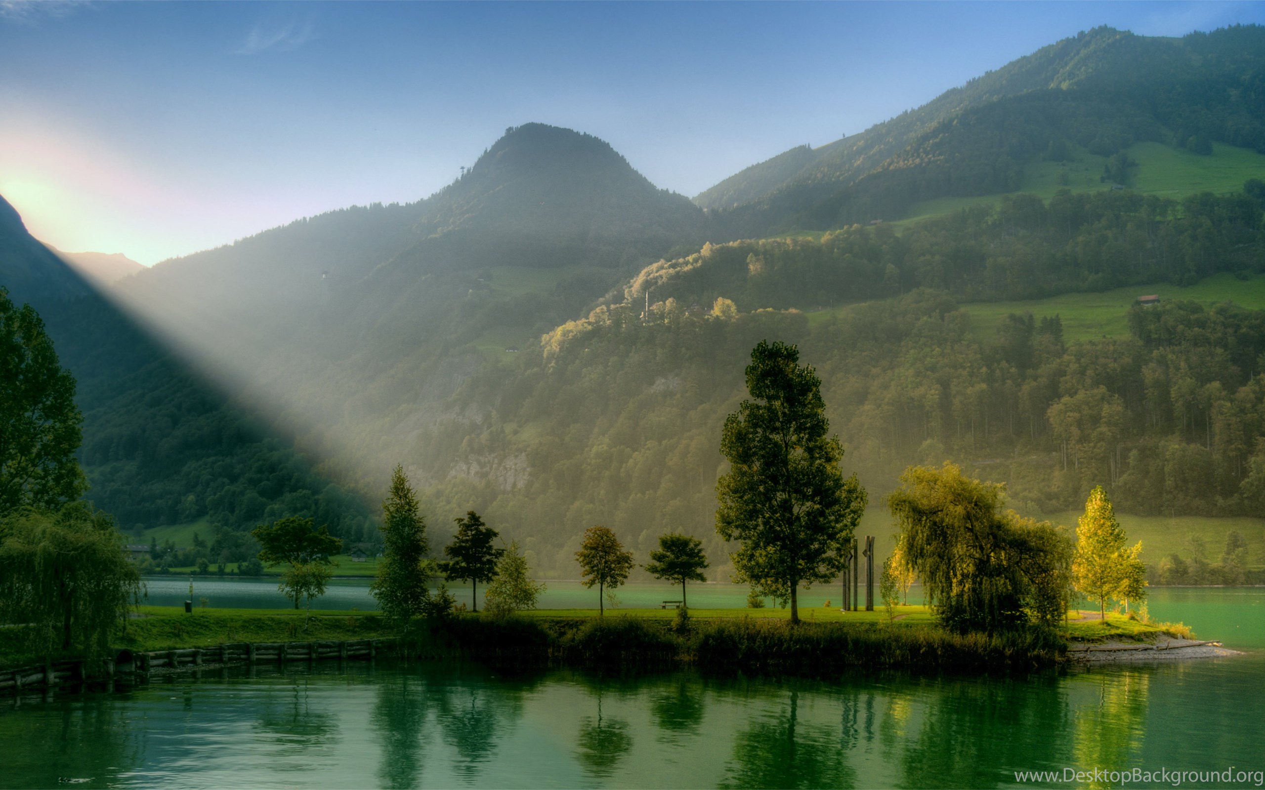 8k Долина река горы лес. Швейцария манзаралари. Швейцария табиати. Природа.