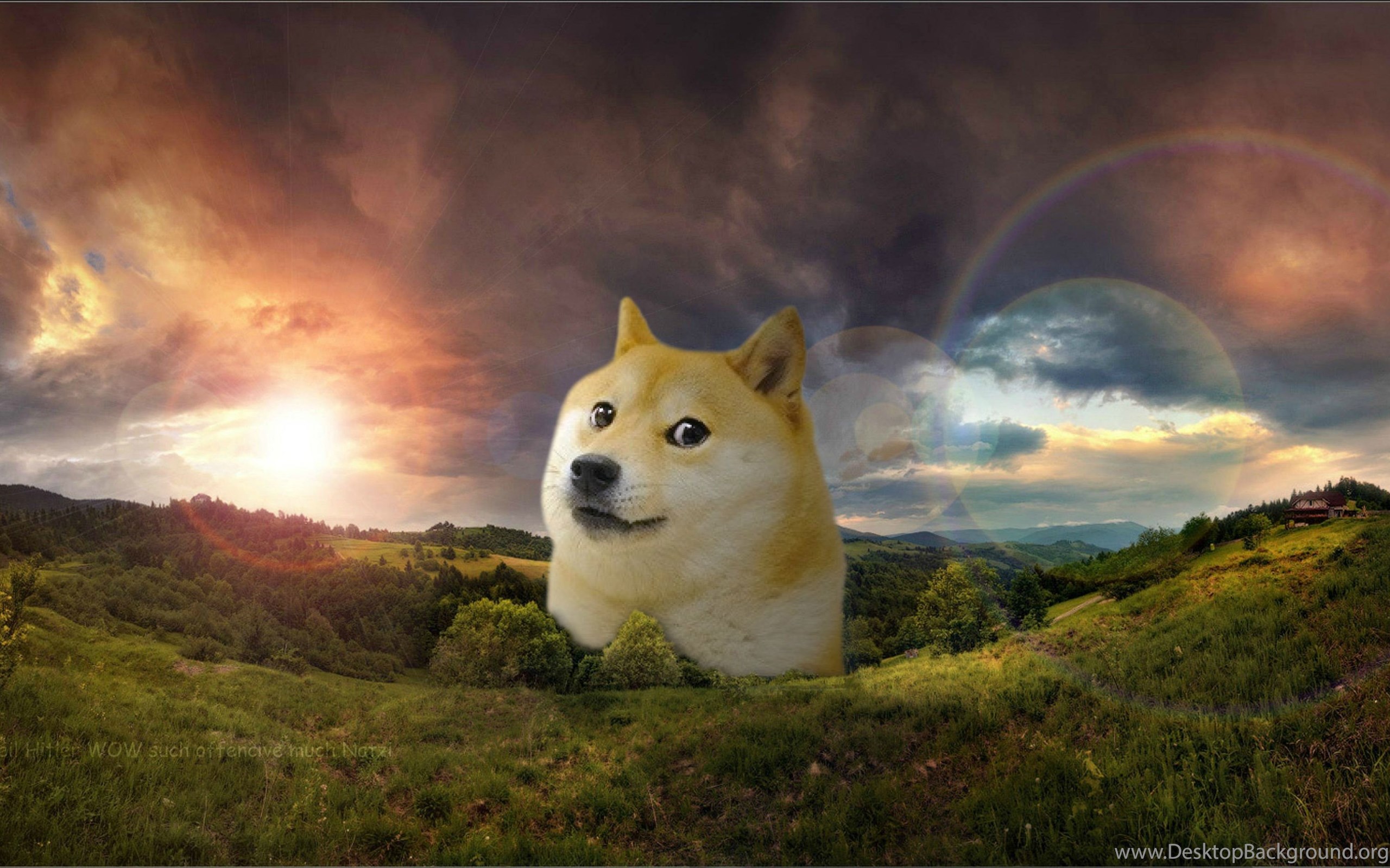 imgur image downloader online