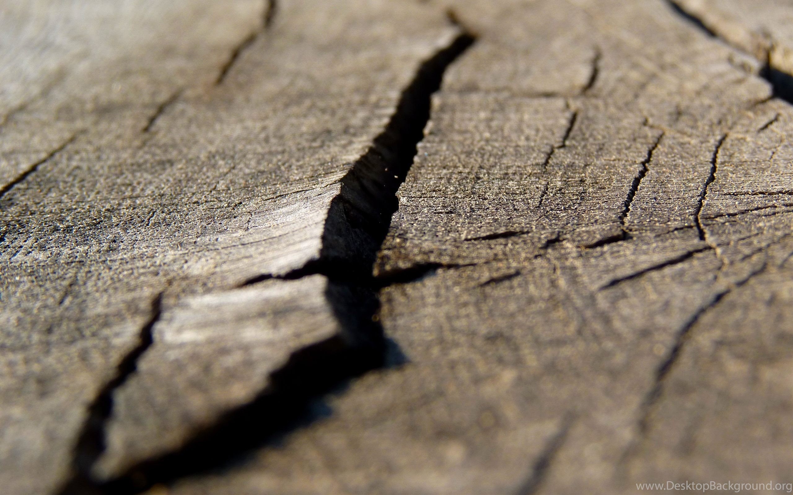Материал в трещинах. Трещина в дереве. Трещины древесины. Дерево макро. Текстура дерева с трещинами.