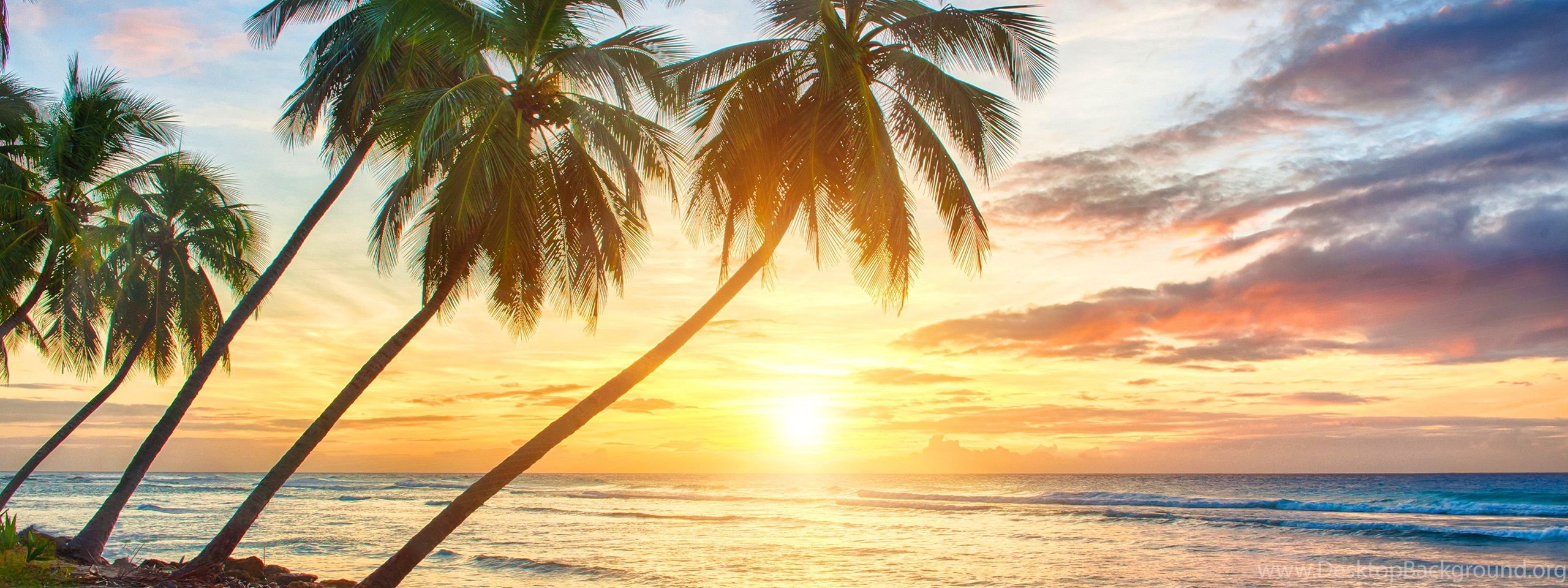 Tropical Wallpapers Desktop Background