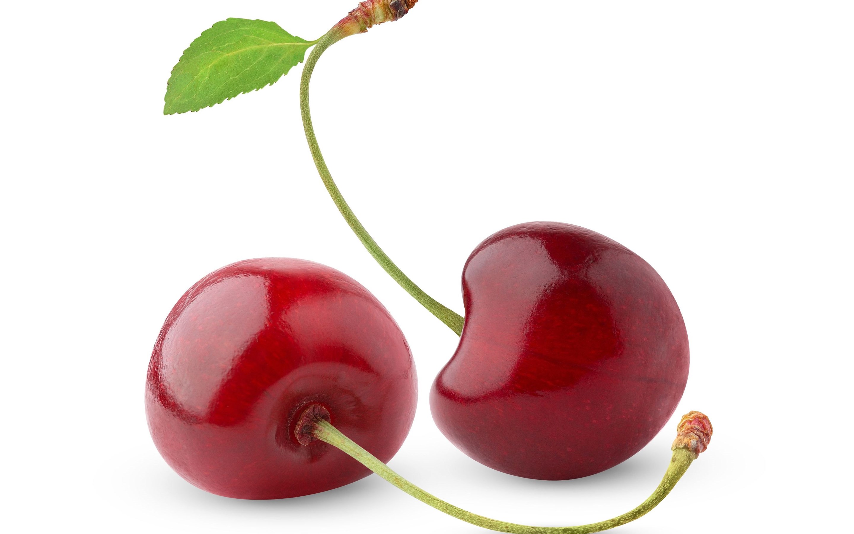 Cherryredbone