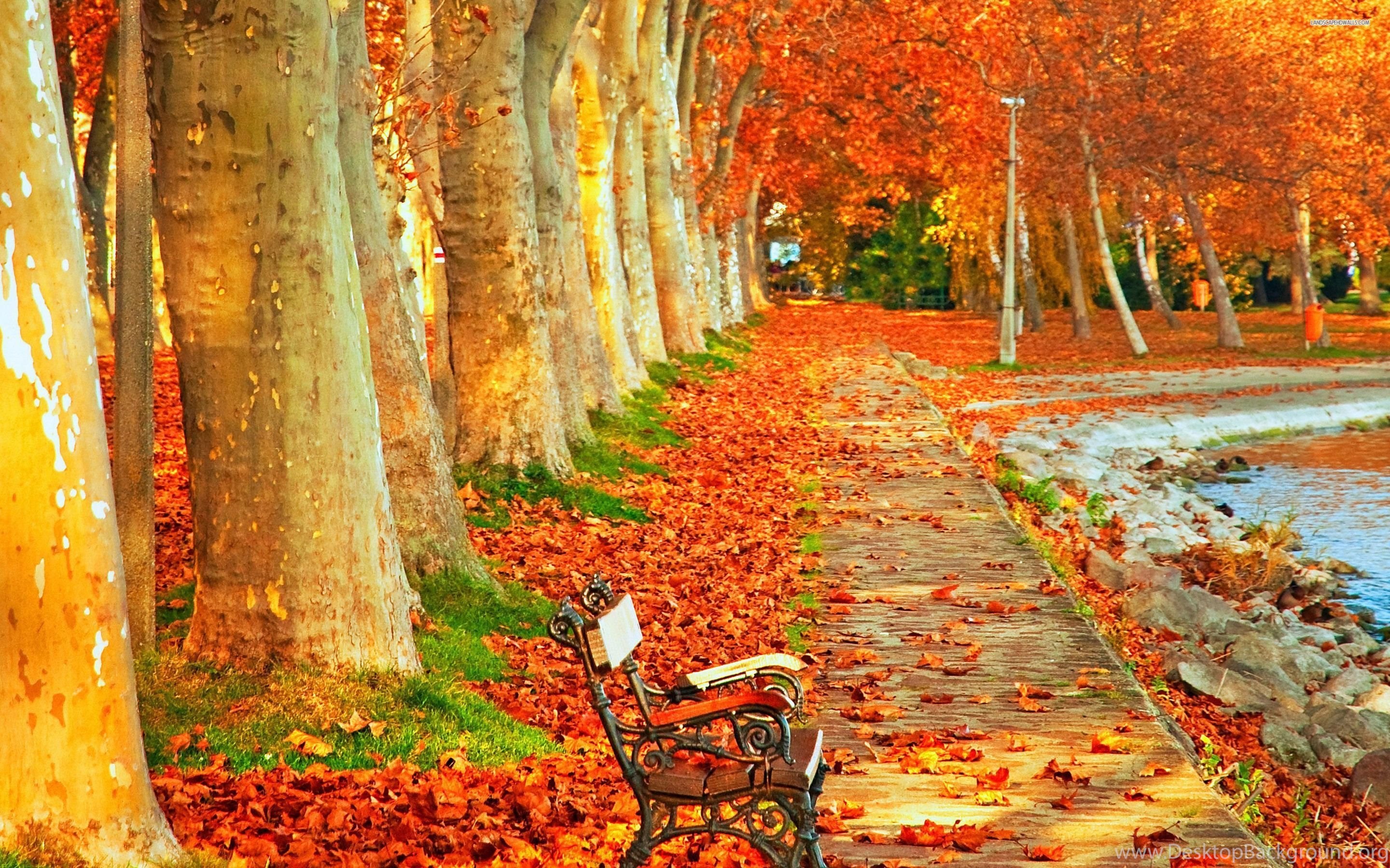 В парк пришла осень. Осень парк. Красивая осень. Осенний пейзаж. Осень в парке.