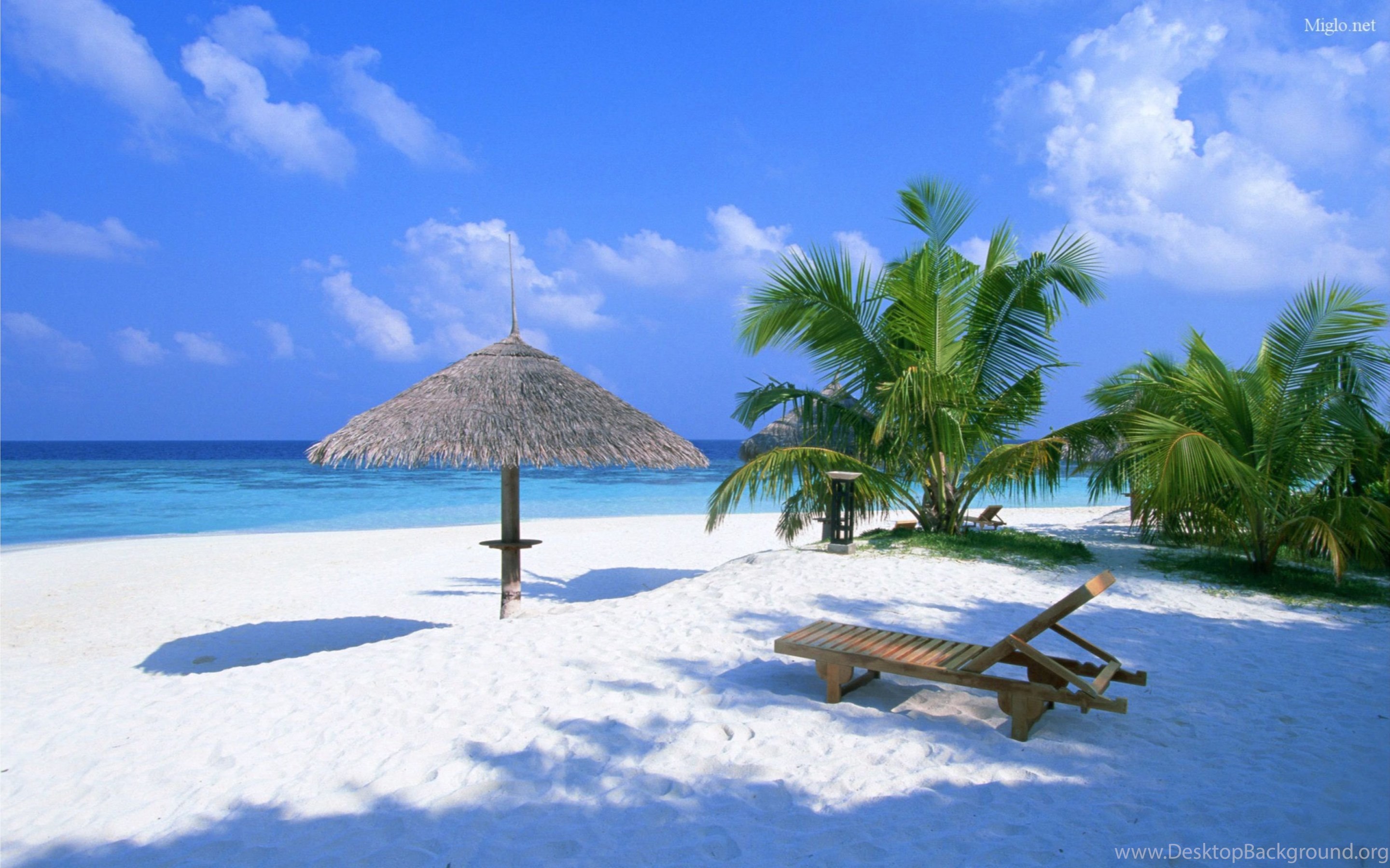 Peaceful Caribbean Beach 4k Nature Wallpapers Desktop Background