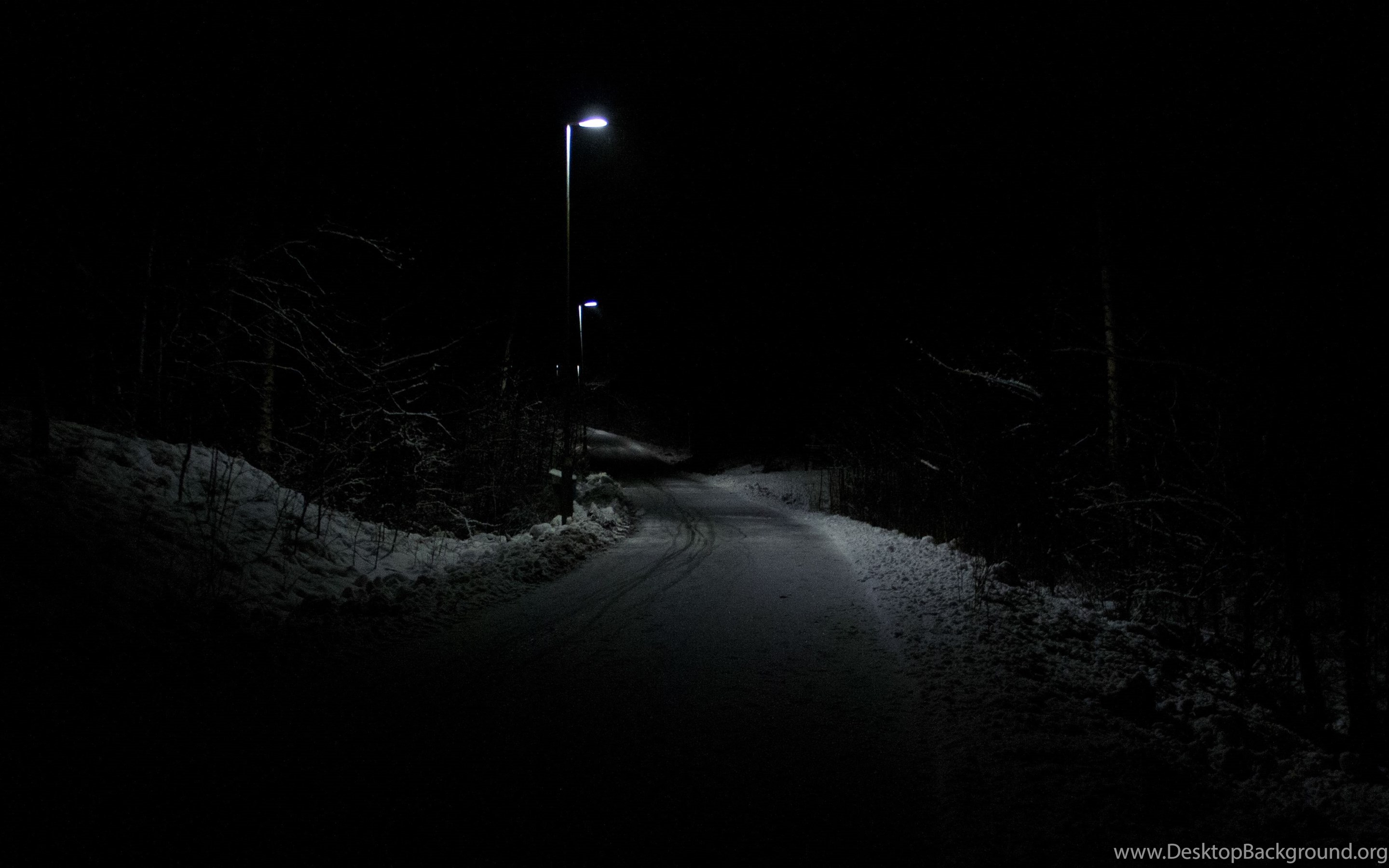 Ночи теплы и непроглядны в черной тьме. Дорога ночью. Лесная дорога ночью. Темная дорога. Ночь тьма.