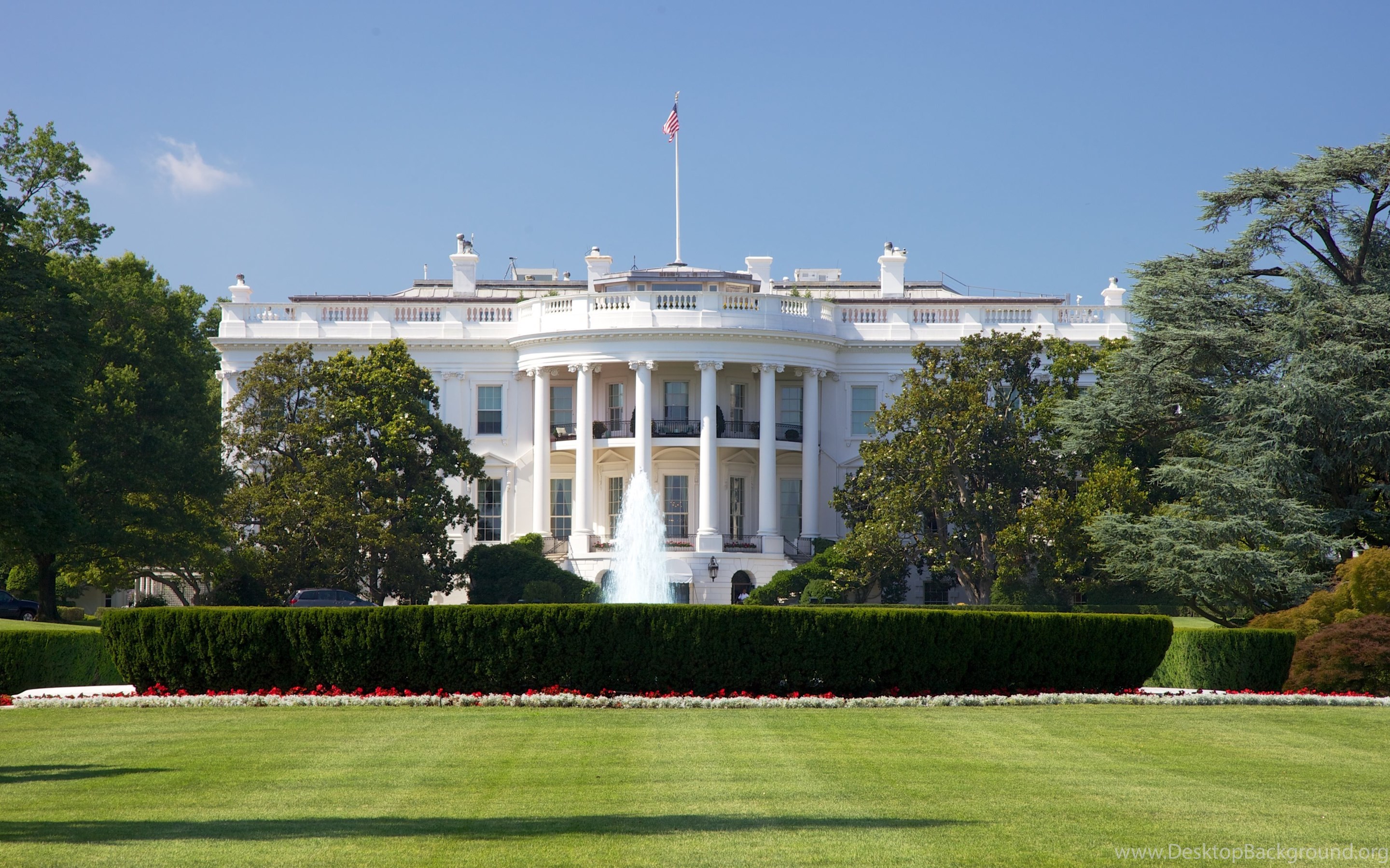 White House Market Url White House Market Url