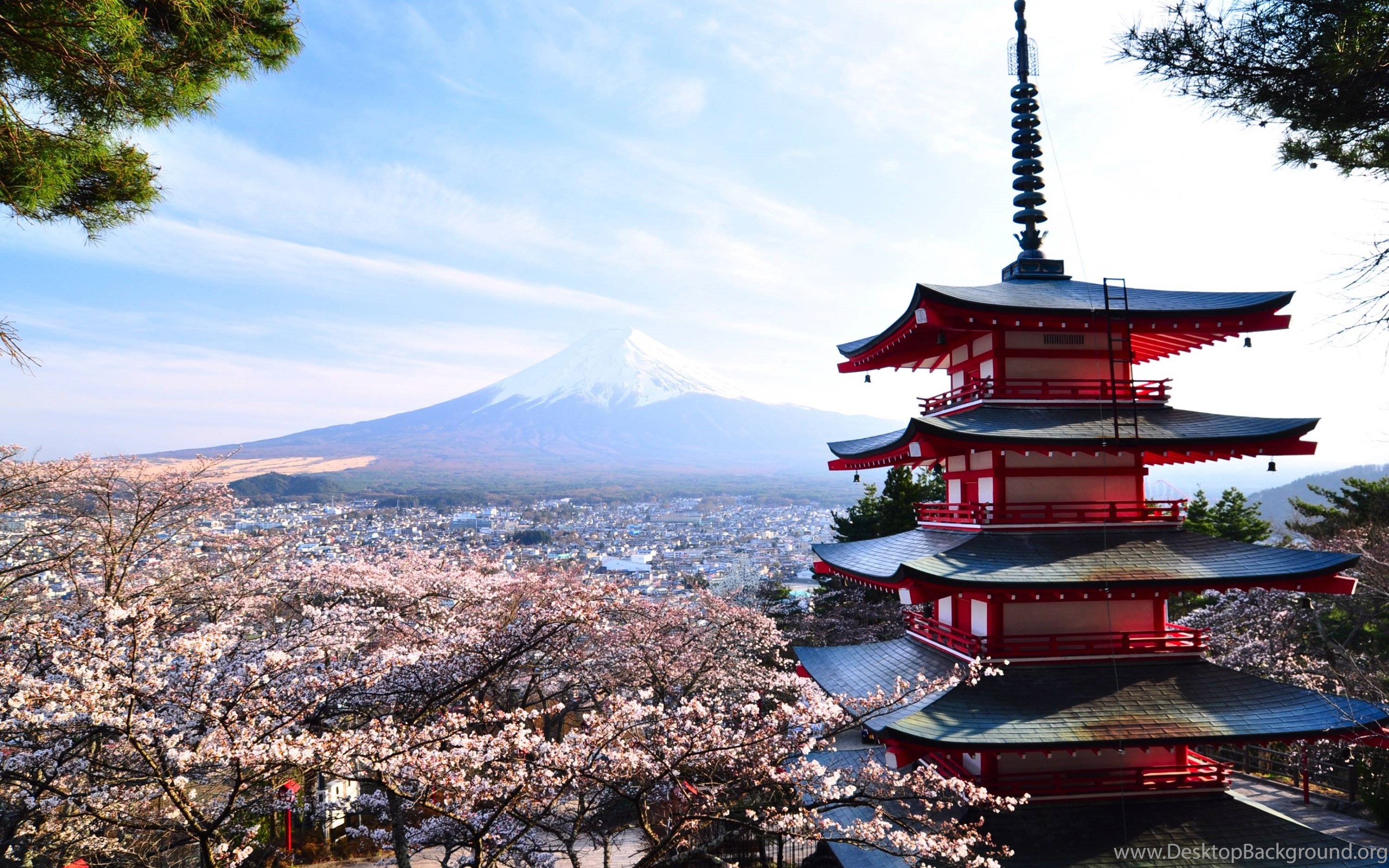 Japan japanese