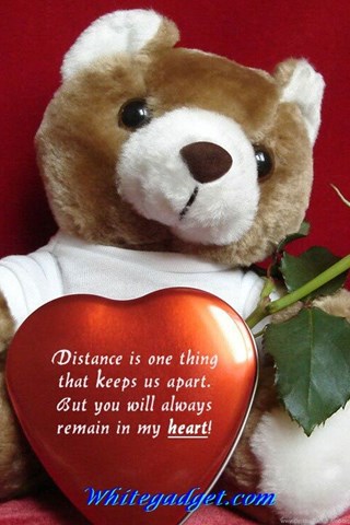 latest teddy bear