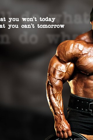 wallpapers bodybuilder health bodybuilding hd