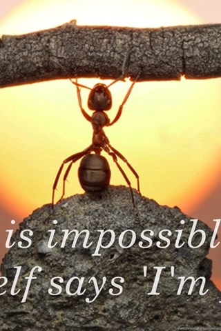 Positive Inspirational Quotes HD Wallpapers Desktop Positive Inspirational Quotes HD Wallpapers Desktop