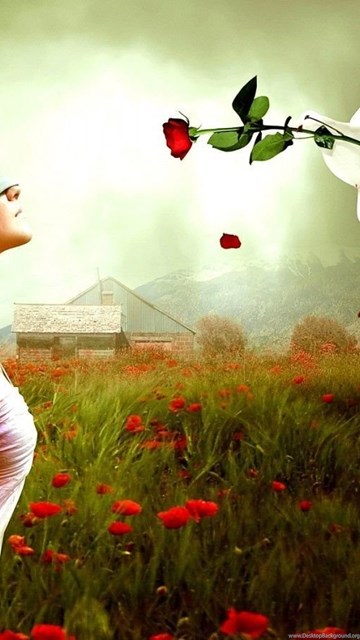 Love Laptop Wallpaper Hd 1080p Download