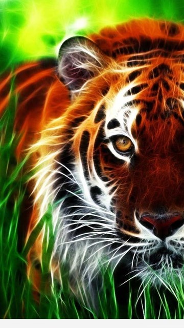 pix Screen Wallpaper Hd 3D hd 3d wallpapers for pc full screen 12