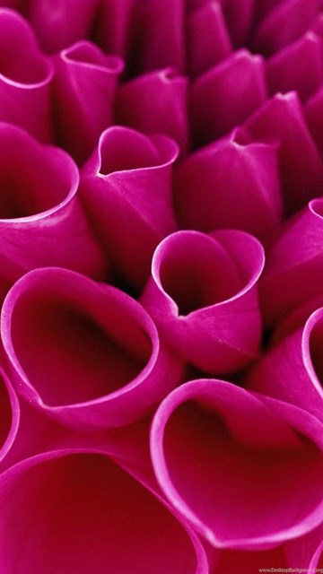 3d Wallpapers For Android Phones Free Download 8 Pleasantwalls