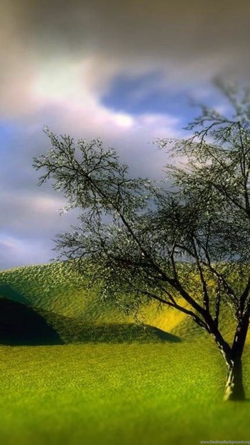 Www Santabanta Com Wallpapers Nature HD Wallpapers Lovely Www Santabanta Com Wallpapers Nature HD Wallpapers Lovely