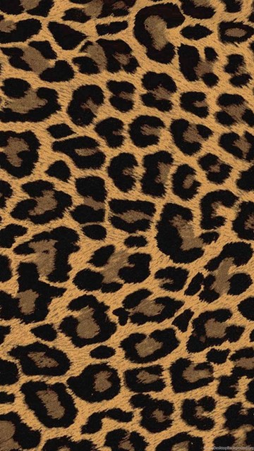 Tiger Skin Wallpapers Wallpapers HD Fine Desktop Background