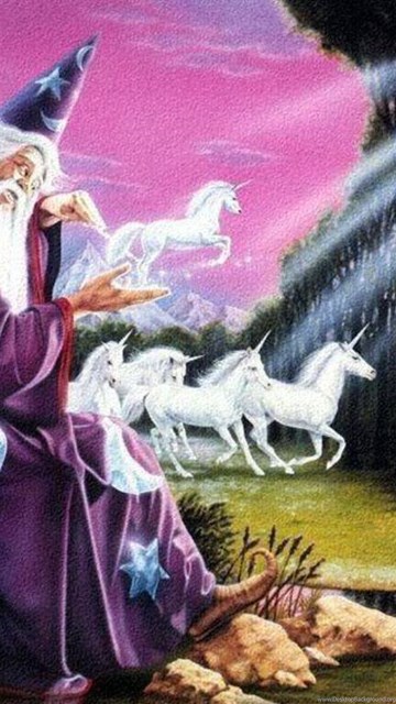 Wizards are gay