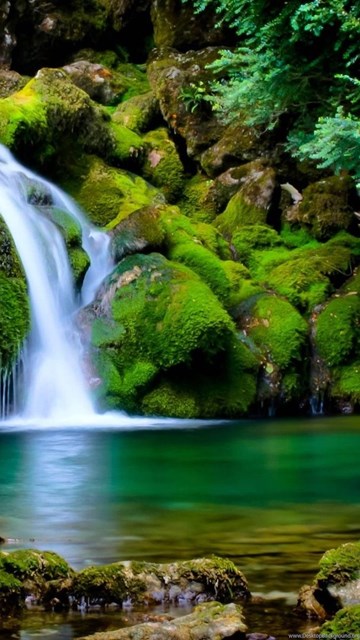 Quality Nature Wallpapers Wallpapers Wallpapers Desktop Background
