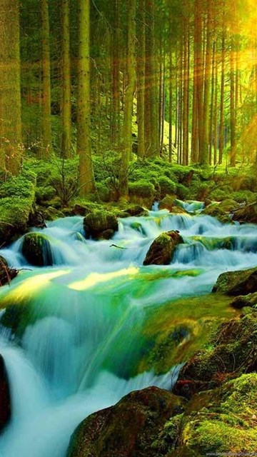 Most Beautiful Nature Wallpapers Wallpapers Zone Desktop Most Beautiful Nature Wallpapers Wallpapers Zone Desktop